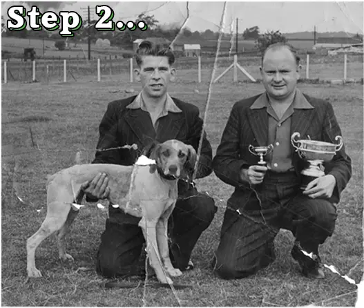 Photo Restoration 2